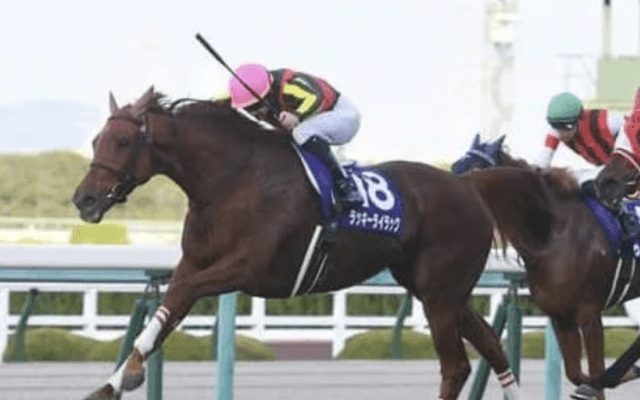 有馬記念で見逃せないステイゴールドの血。２頭に激走の予感