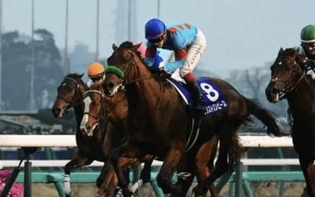 有馬記念はリピーター、３歳馬、人気落ちのＧＩ馬が夢馬券を運んでくる