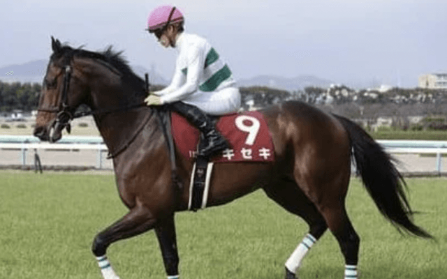 有馬記念はなぜ荒れるのか。その本質を見抜く穴党記者が推す４頭