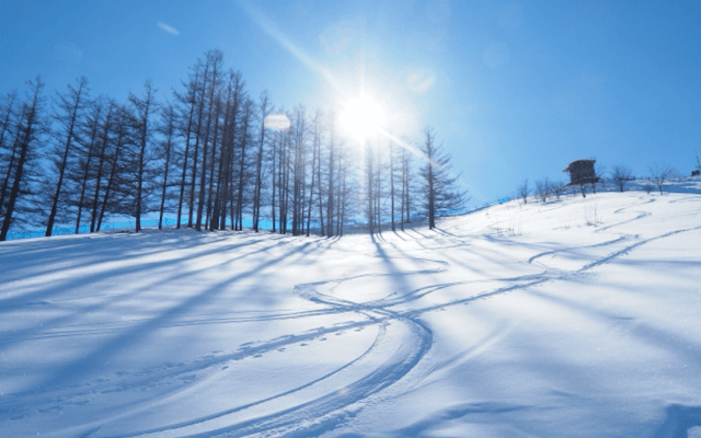北京冬季パラリンピックまで1年。異例な調整で進化をつづけるアルペンスキー陣