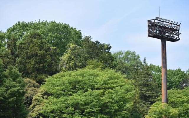 首都大学野球秋季リーグ戦、開幕間近！　各チームの特徴は？②＜東海大学・日本体育大学＞