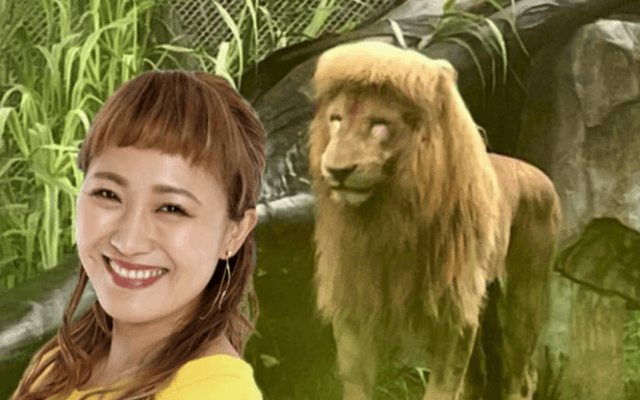 「snsで丸山桂里奈やん🦁て呟かれてました」丸山桂里奈⚽️話題の前髪🦁ライオンと激似⁉️の声