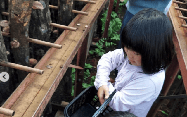 🍨松本薫、家族で🍄きのこ狩りへ「お子さん大きくなりましたね❤️」の声