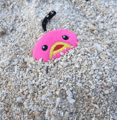 🌈丸山桂里奈、未確認動物に夢中⁉️「待ち受けにしよう❤️❤️❤️」