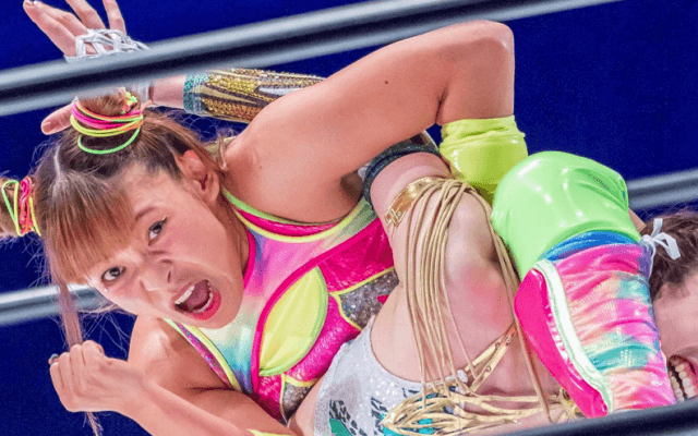 🌈フワちゃん、2年ぶりインスタ更新👍いいね殺到「プロレスラーになりました」