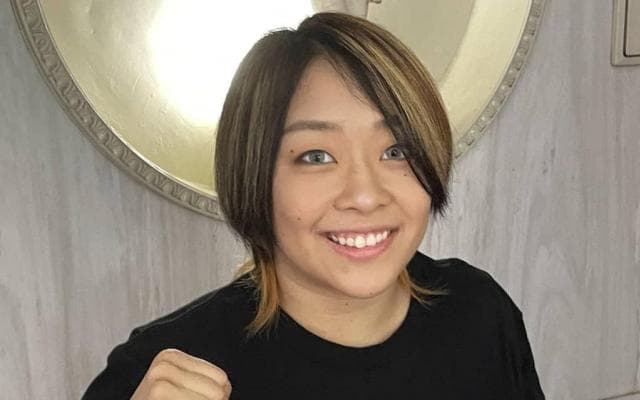 誰もが知っているプロレスラー狐伯になりたい