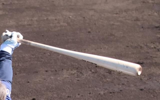 導入からほぼ半世紀、「指名打者制」を取り入れるリーグ、取り入れないリーグ