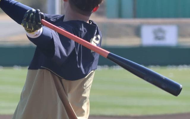 「打率」「打点」から「OPS」へ、価値観が変動しつつある野球記録