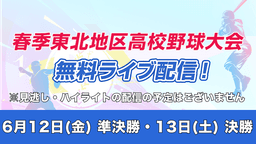 春季東北大会準決勝 仙台育英 - 青森山田ほか