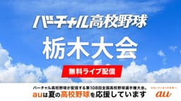 夏の高校野球 栃木大会
2回戦 国学院栃木 - 矢板中央ほか