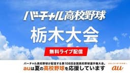 夏の高校野球 栃木大会
準決勝 作新学院 - 佐野日大ほか