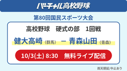 国民スポーツ大会 硬式の部1回戦
健大高崎 - 青森山田