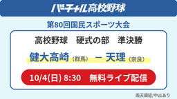 国民スポーツ大会 硬式の部 準決勝
健大高崎 - 天理