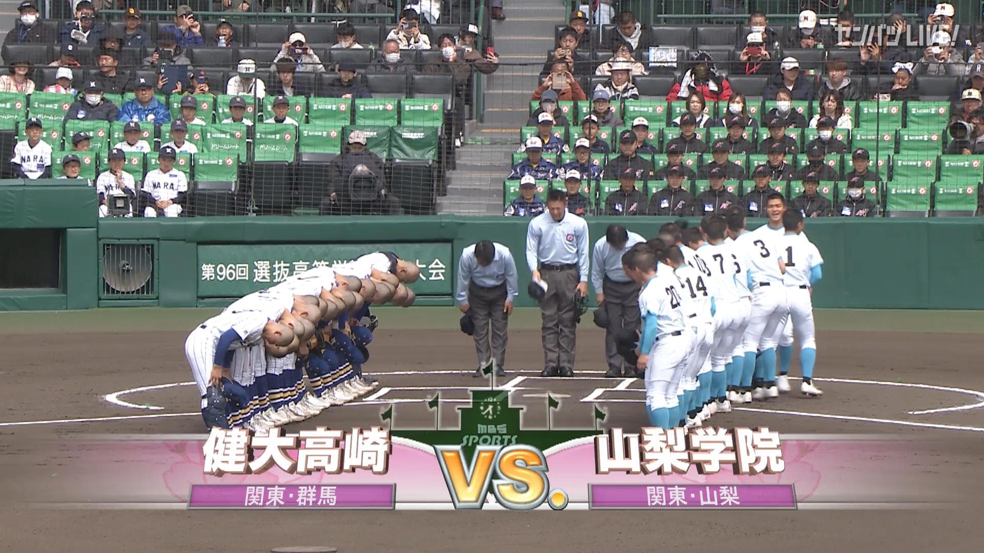 見逃し動画