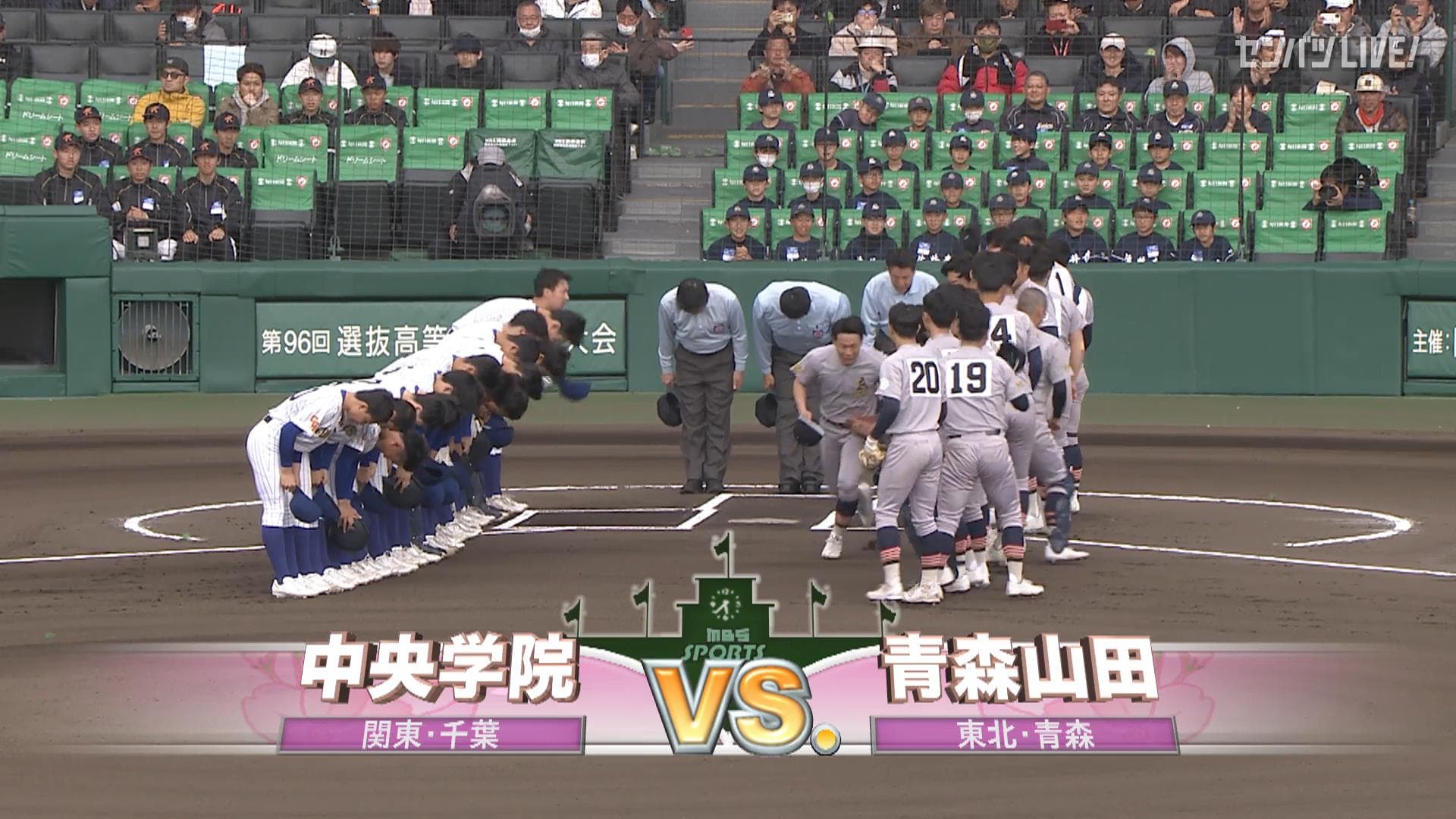 見逃し動画