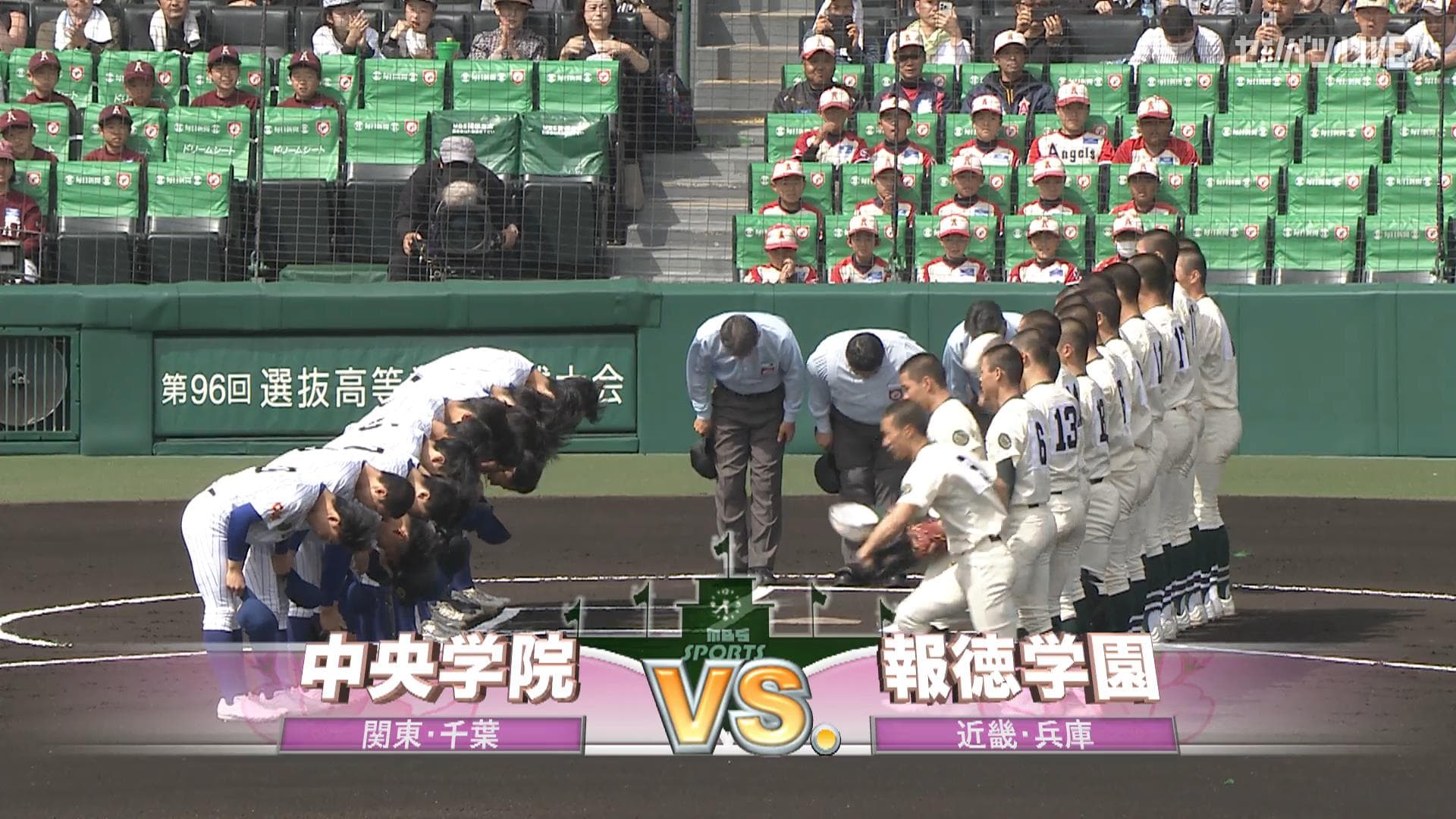 見逃し動画
