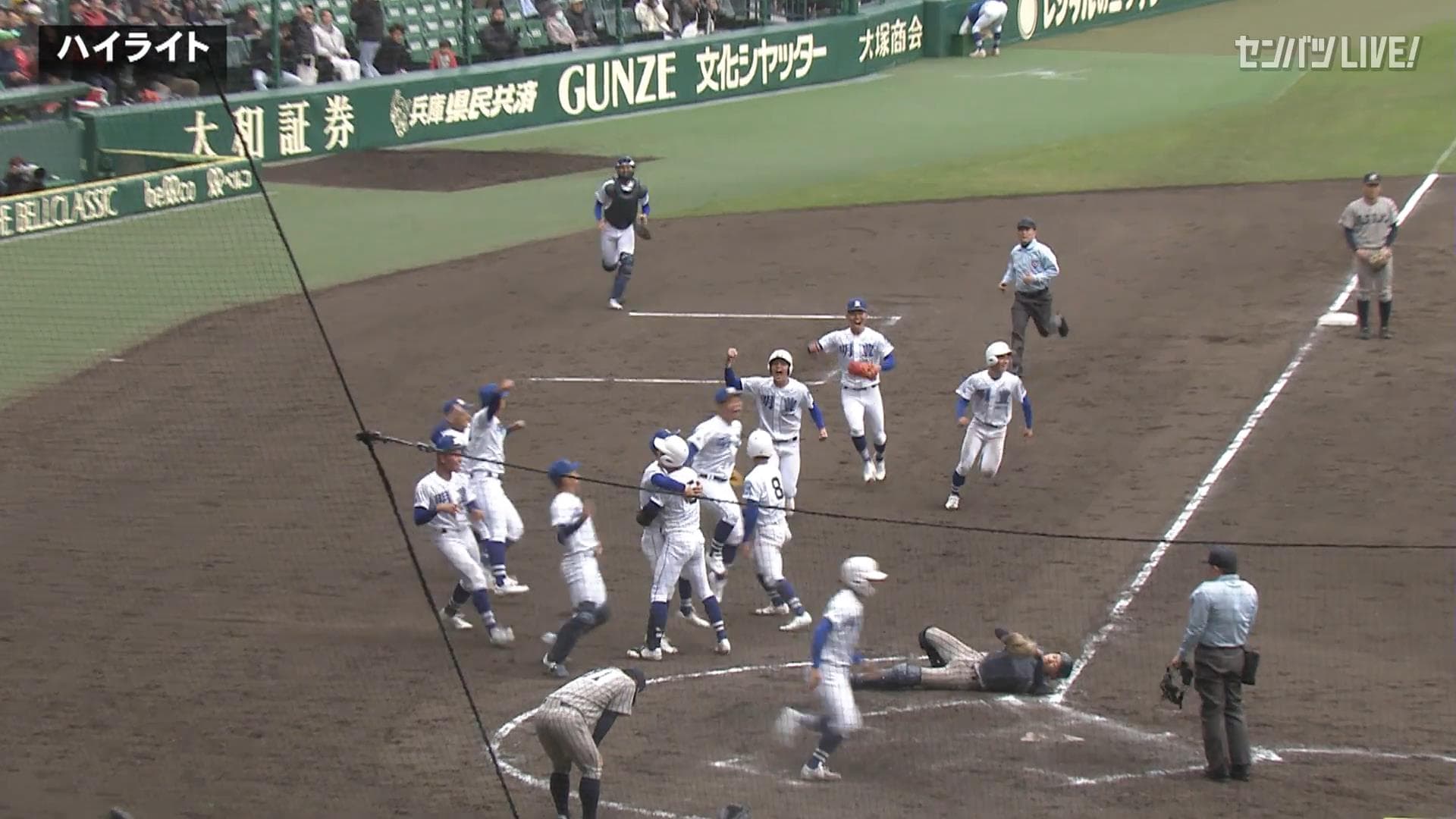 ダイジェスト動画