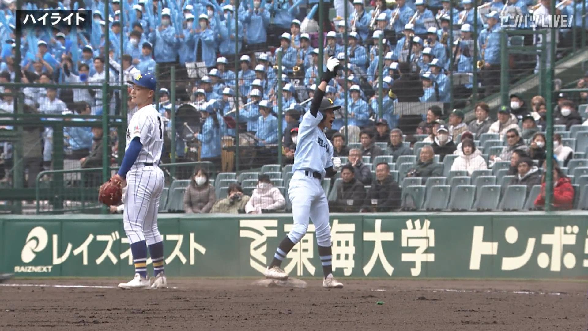 ダイジェスト動画