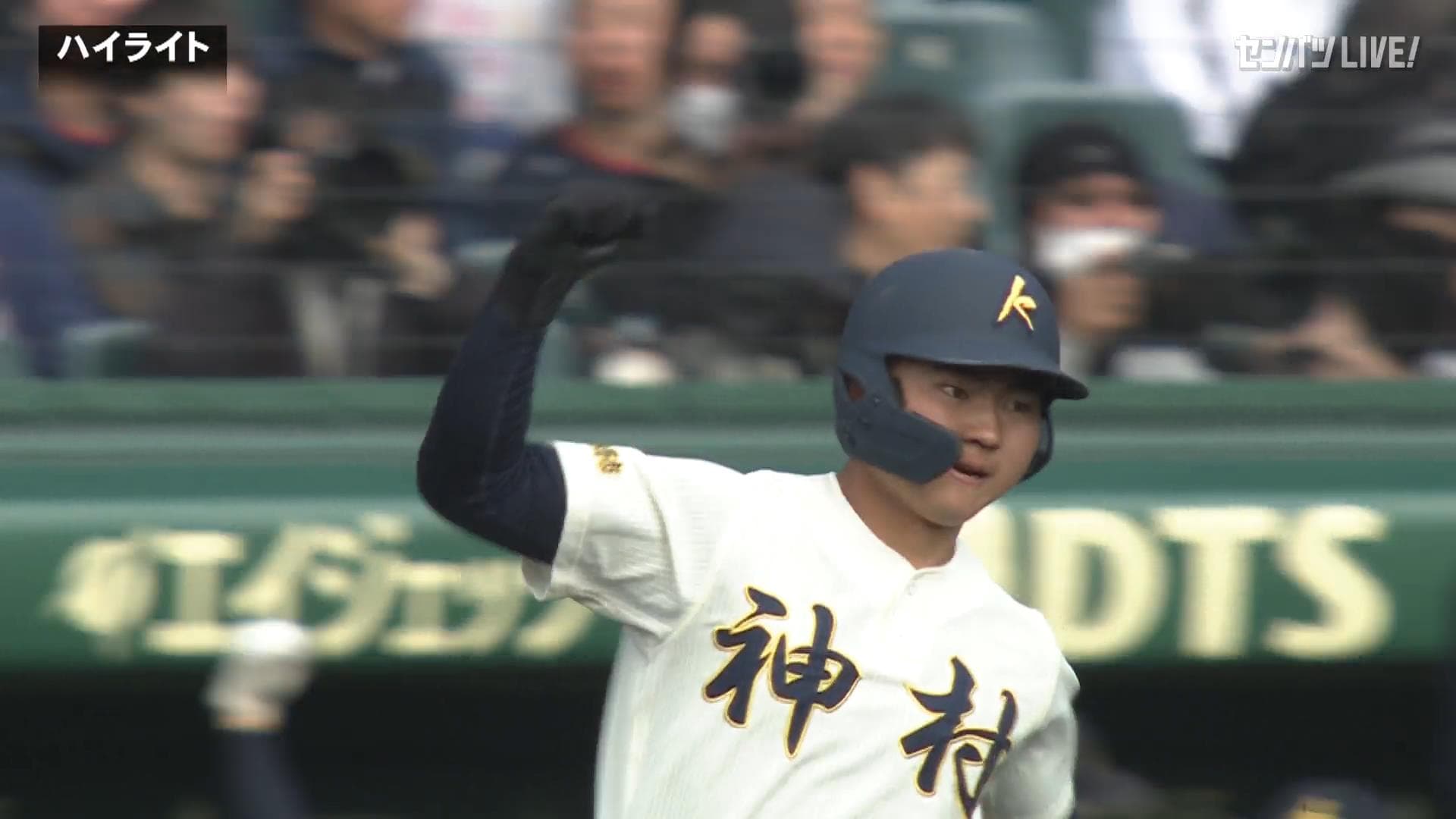 ダイジェスト動画