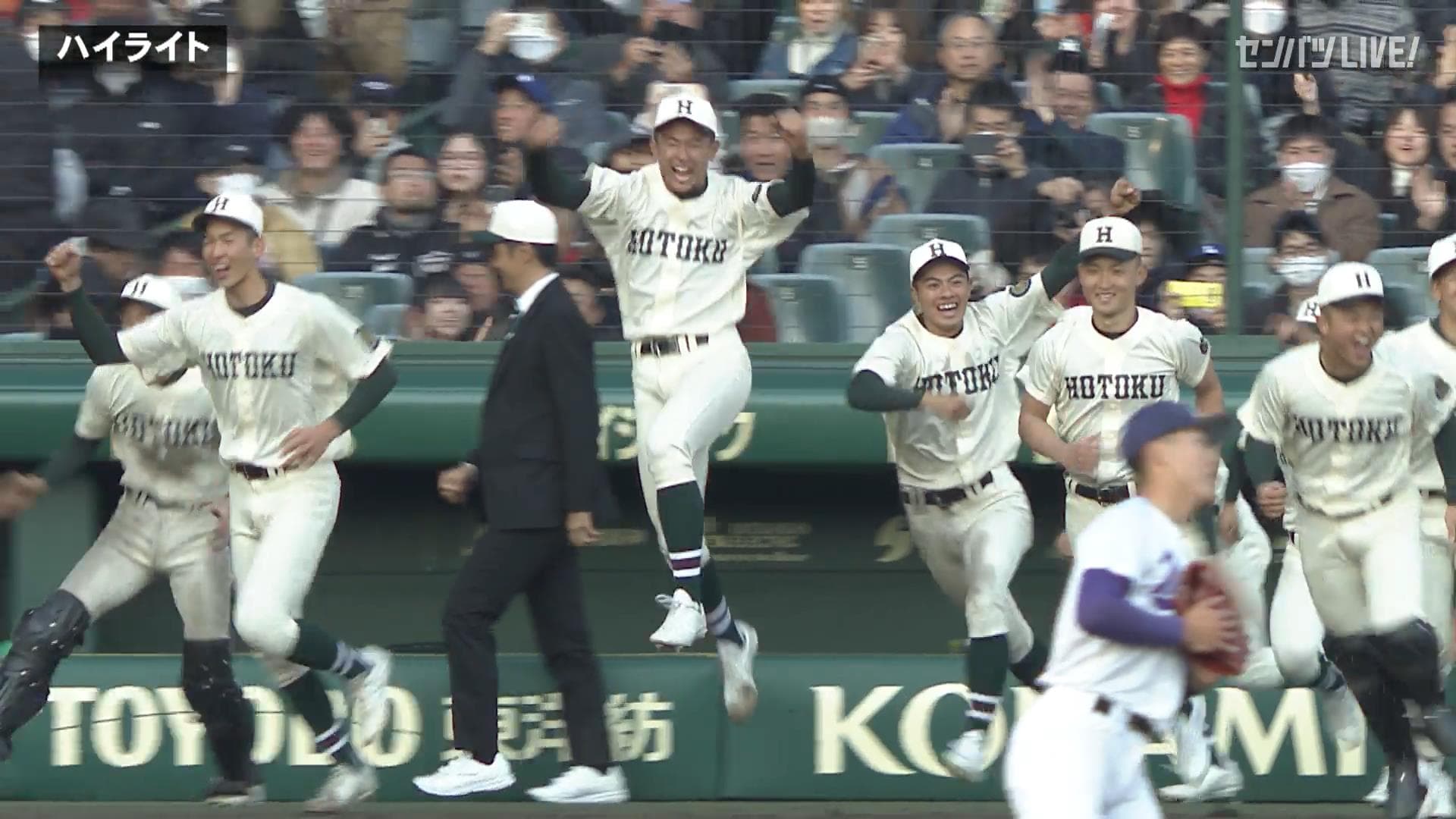 ダイジェスト動画