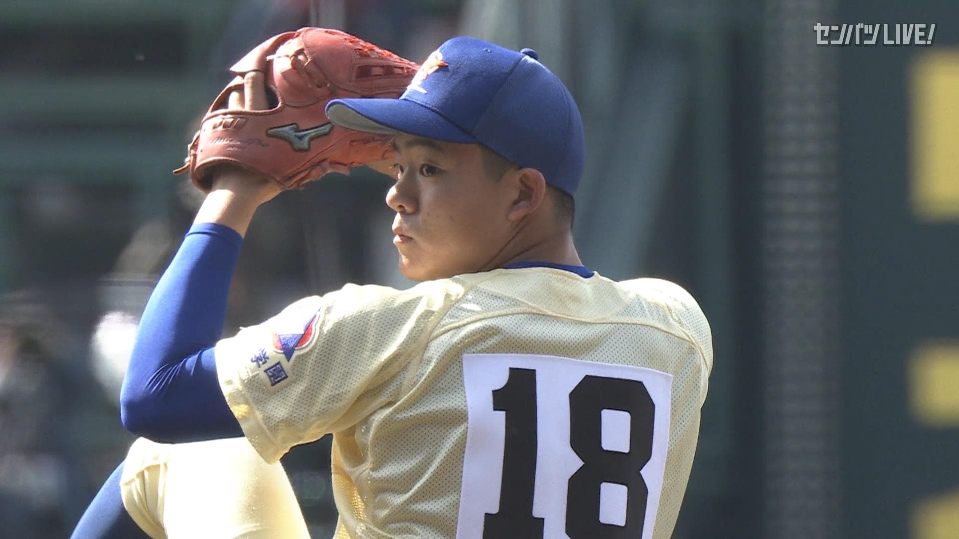 ダイジェスト動画