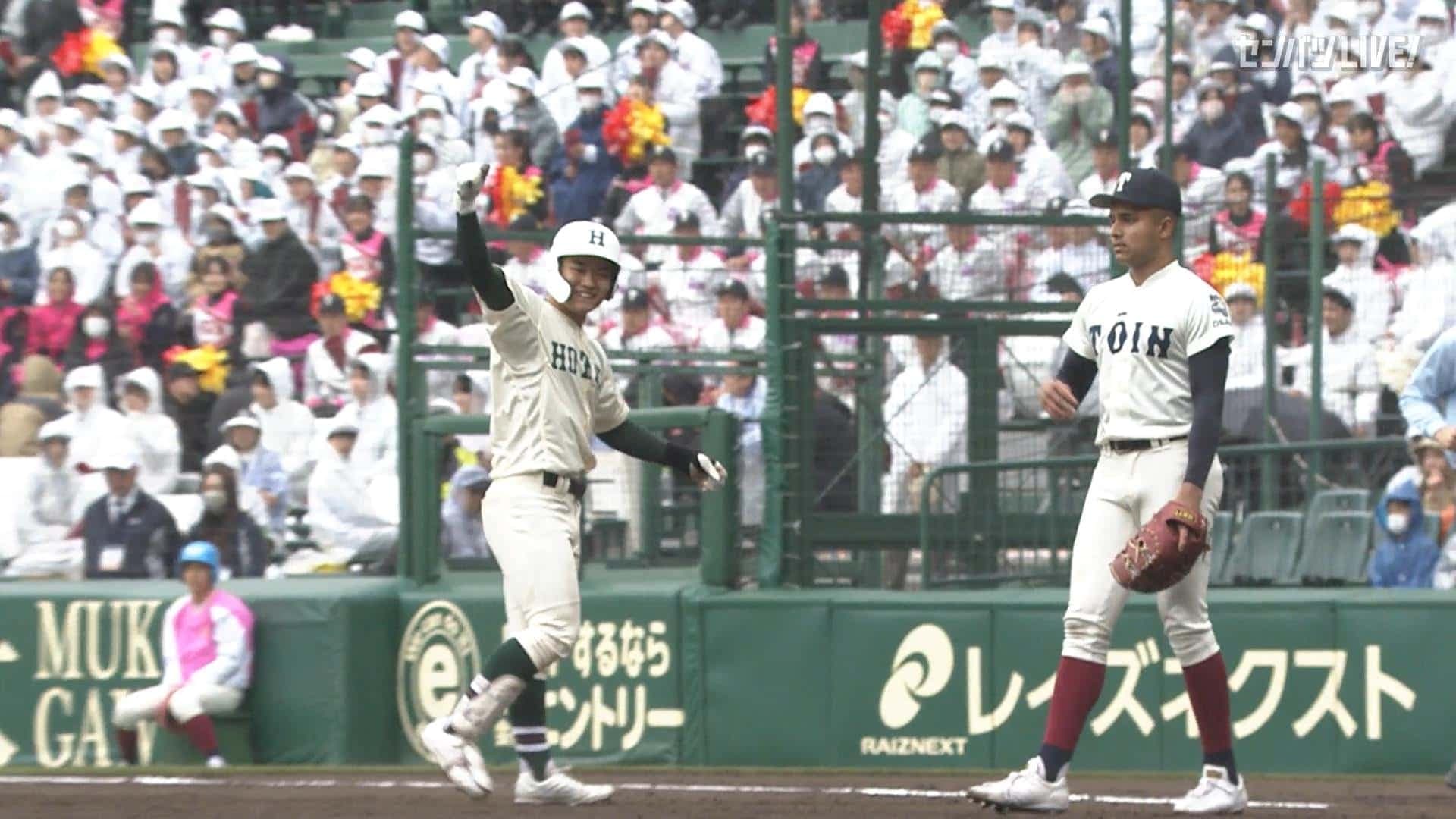 ダイジェスト動画