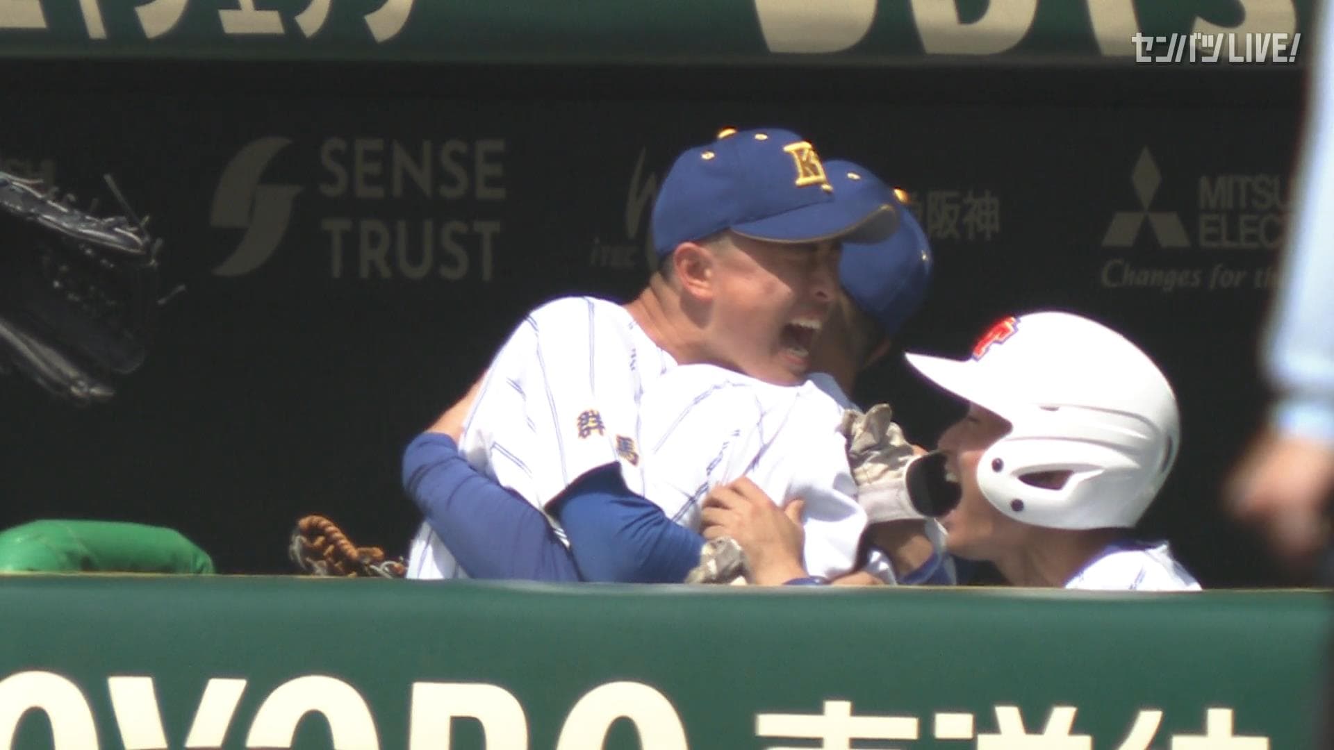 ダイジェスト動画