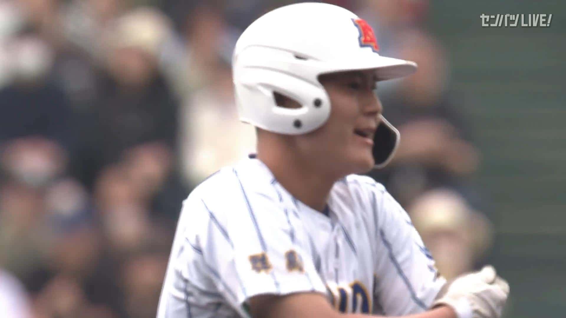 ダイジェスト動画
