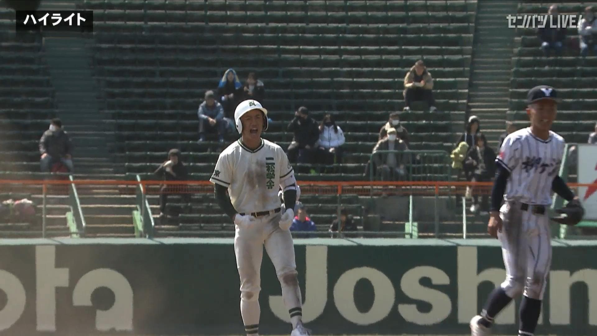 ダイジェスト動画