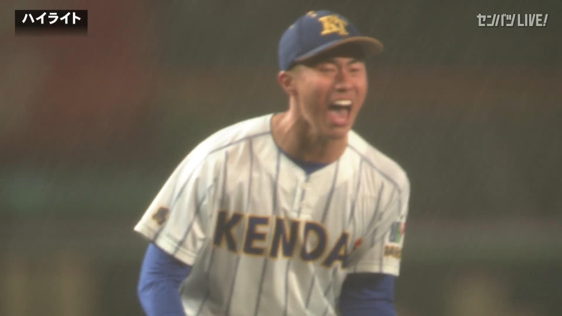 ダイジェスト動画