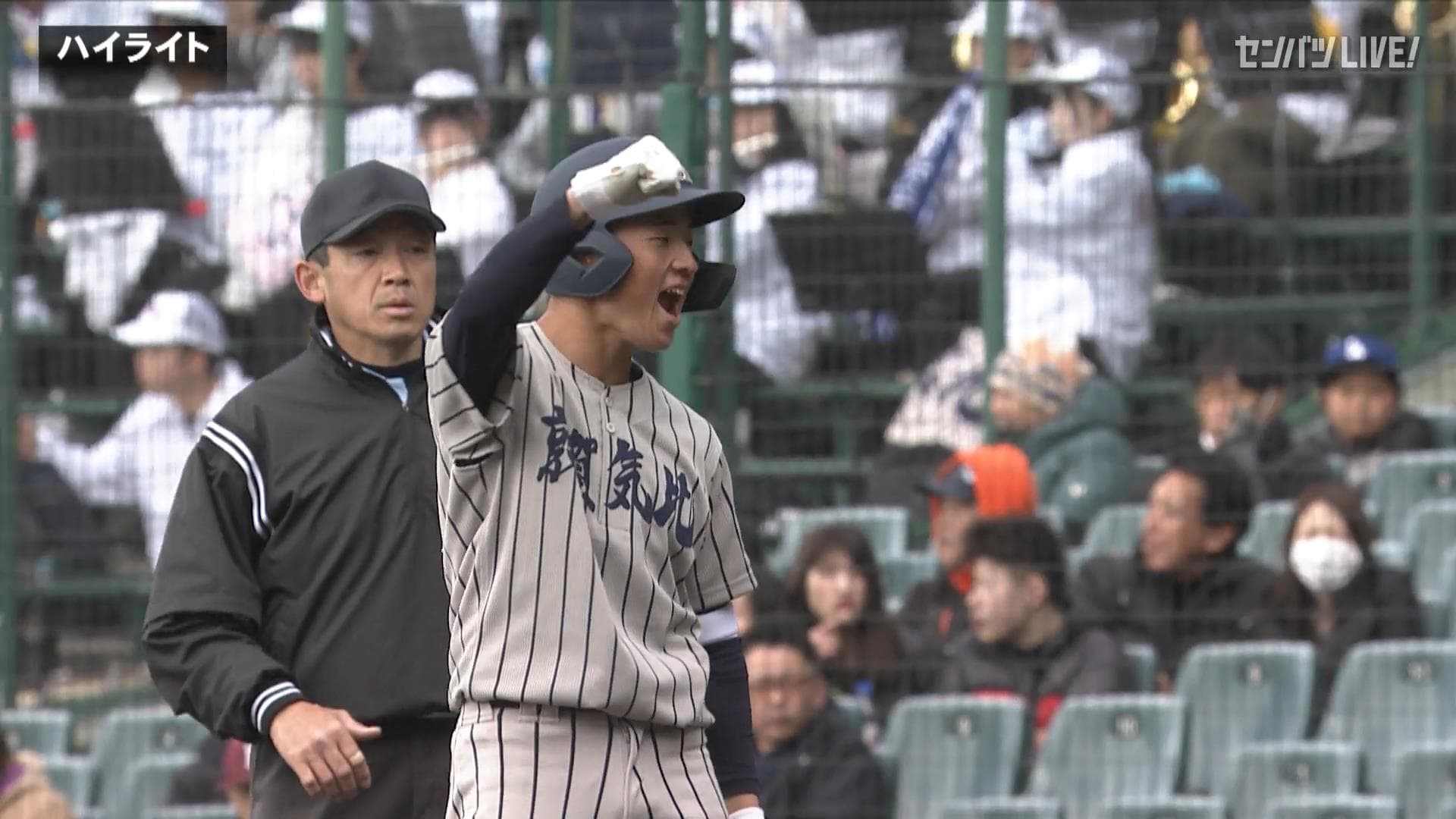 ダイジェスト動画