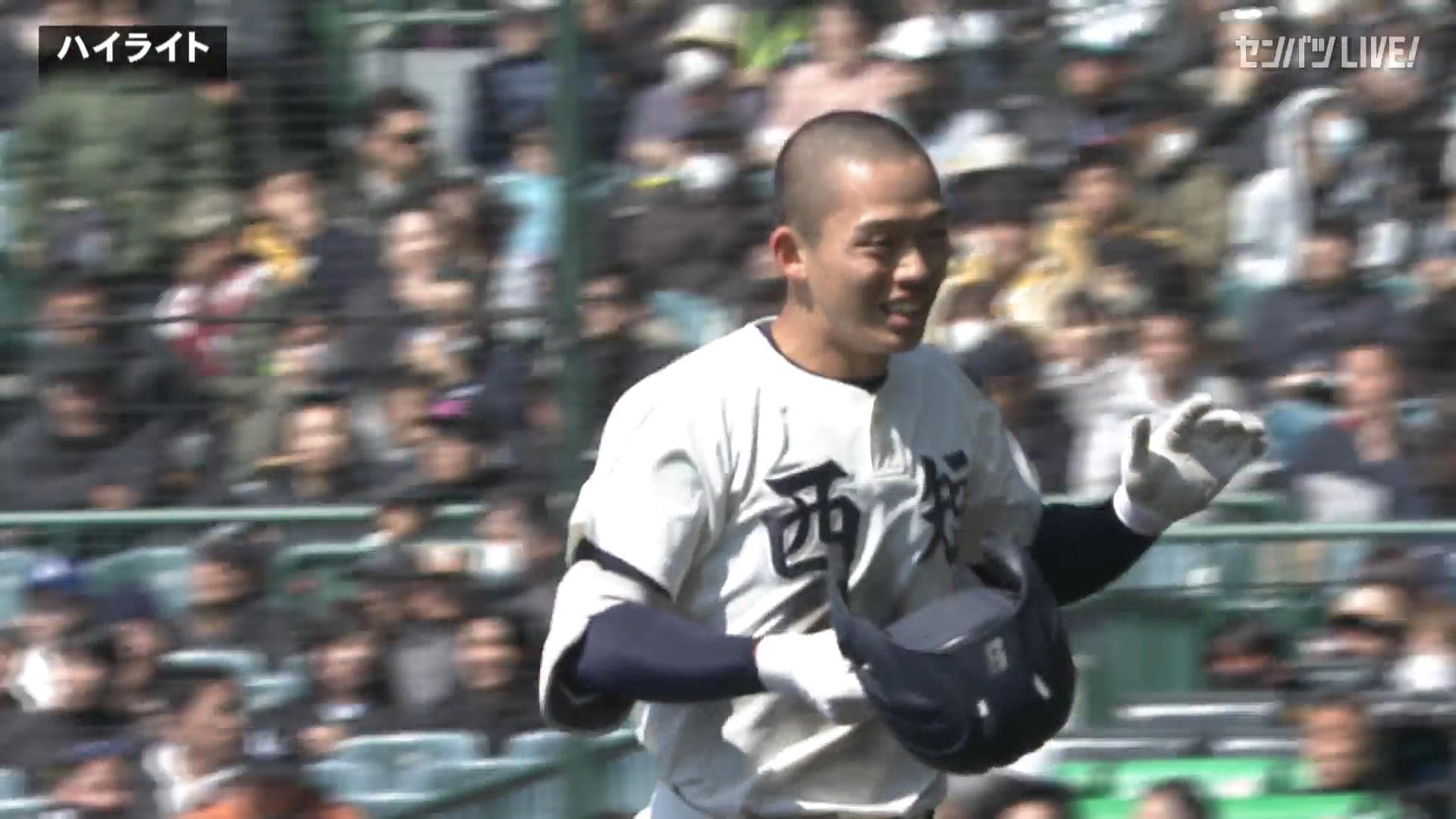 ダイジェスト動画