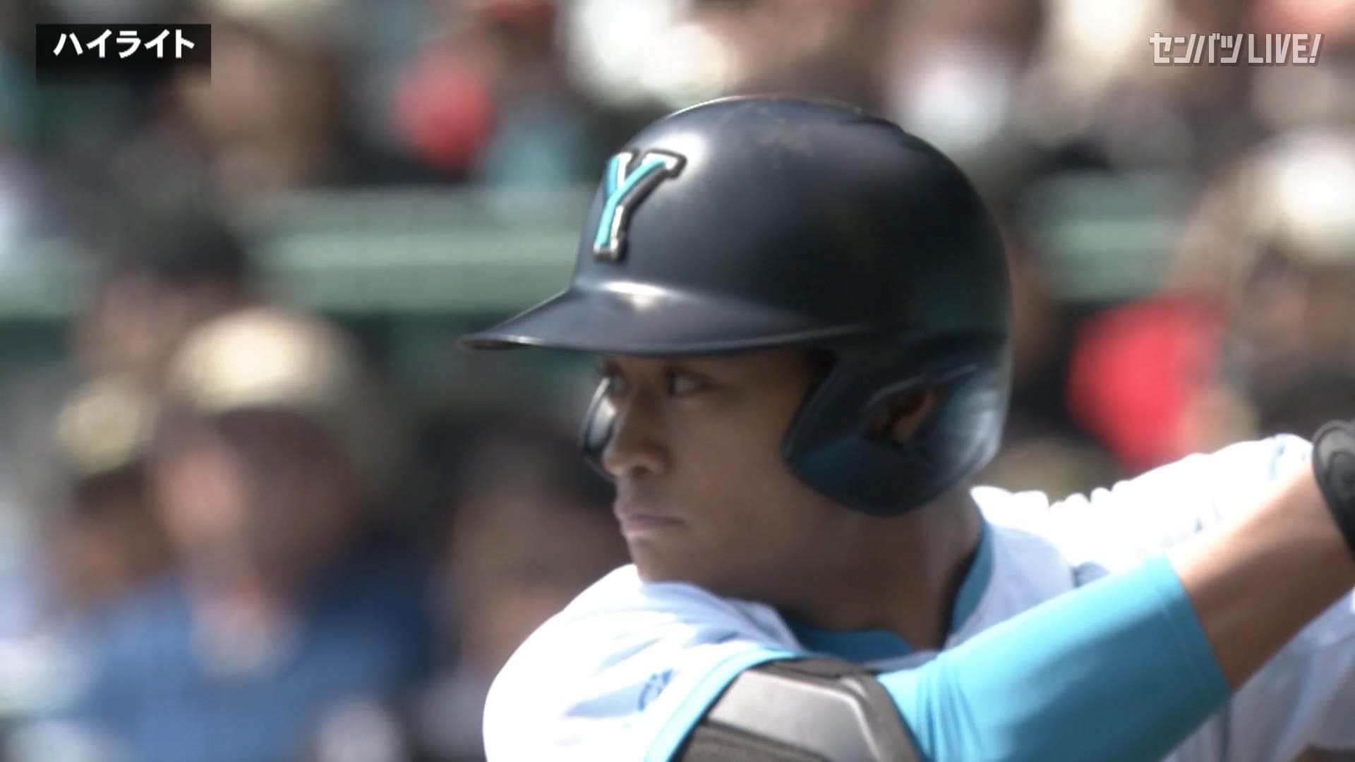 ダイジェスト動画