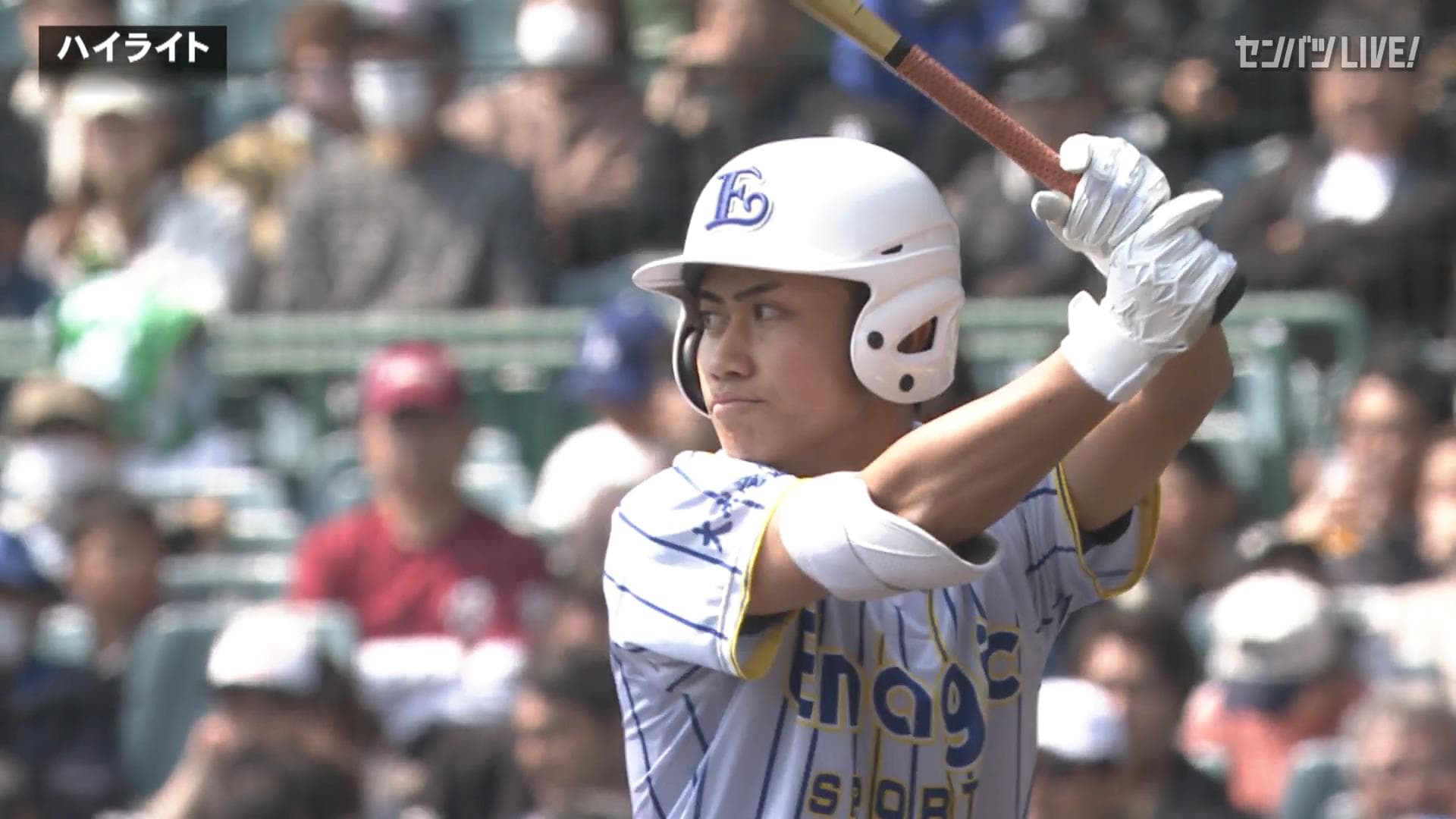 ダイジェスト動画