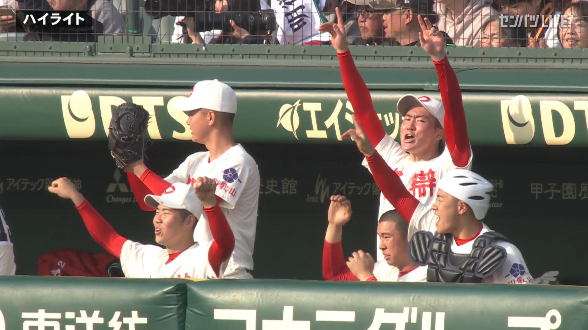 ダイジェスト動画