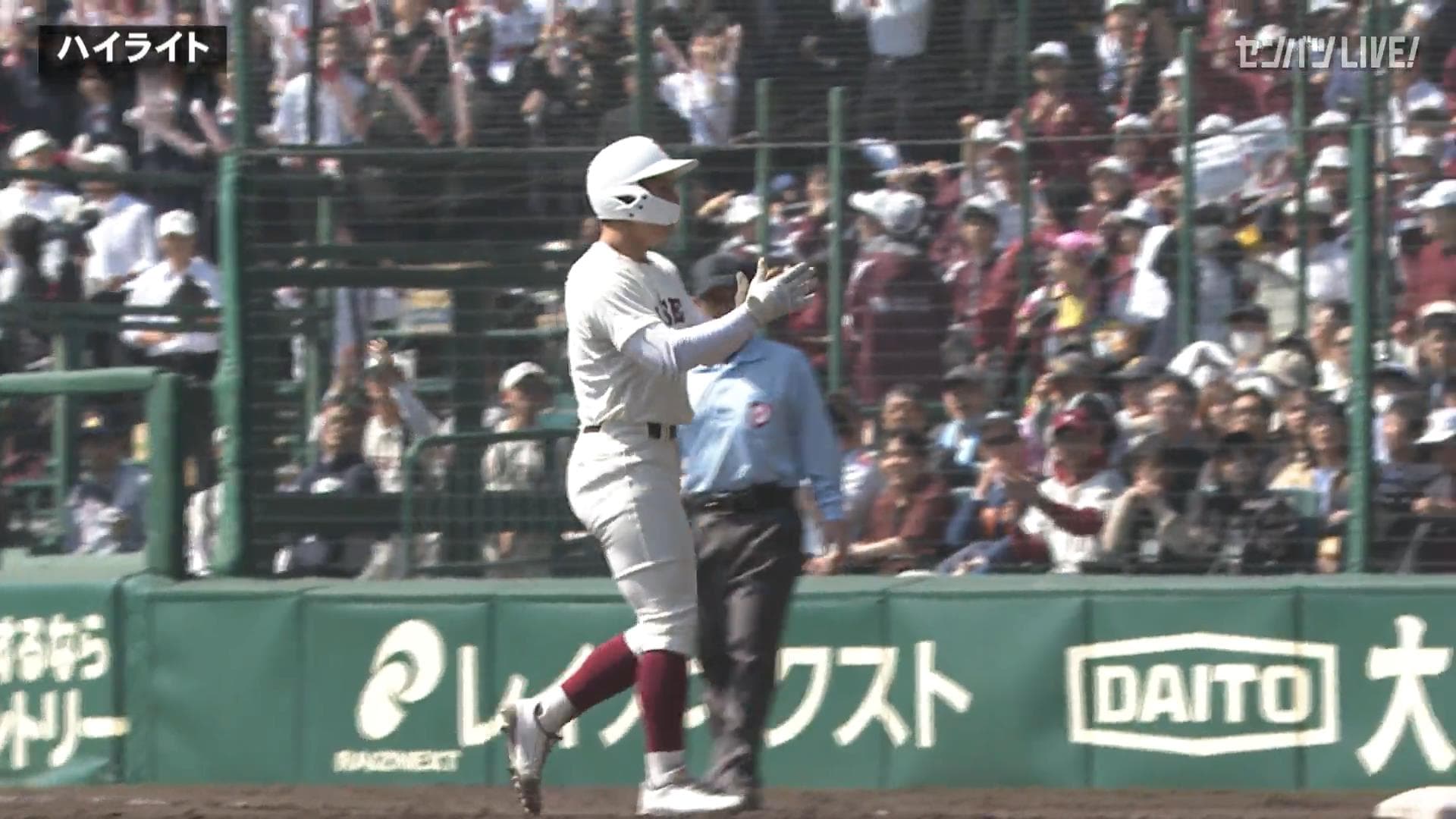 ダイジェスト動画