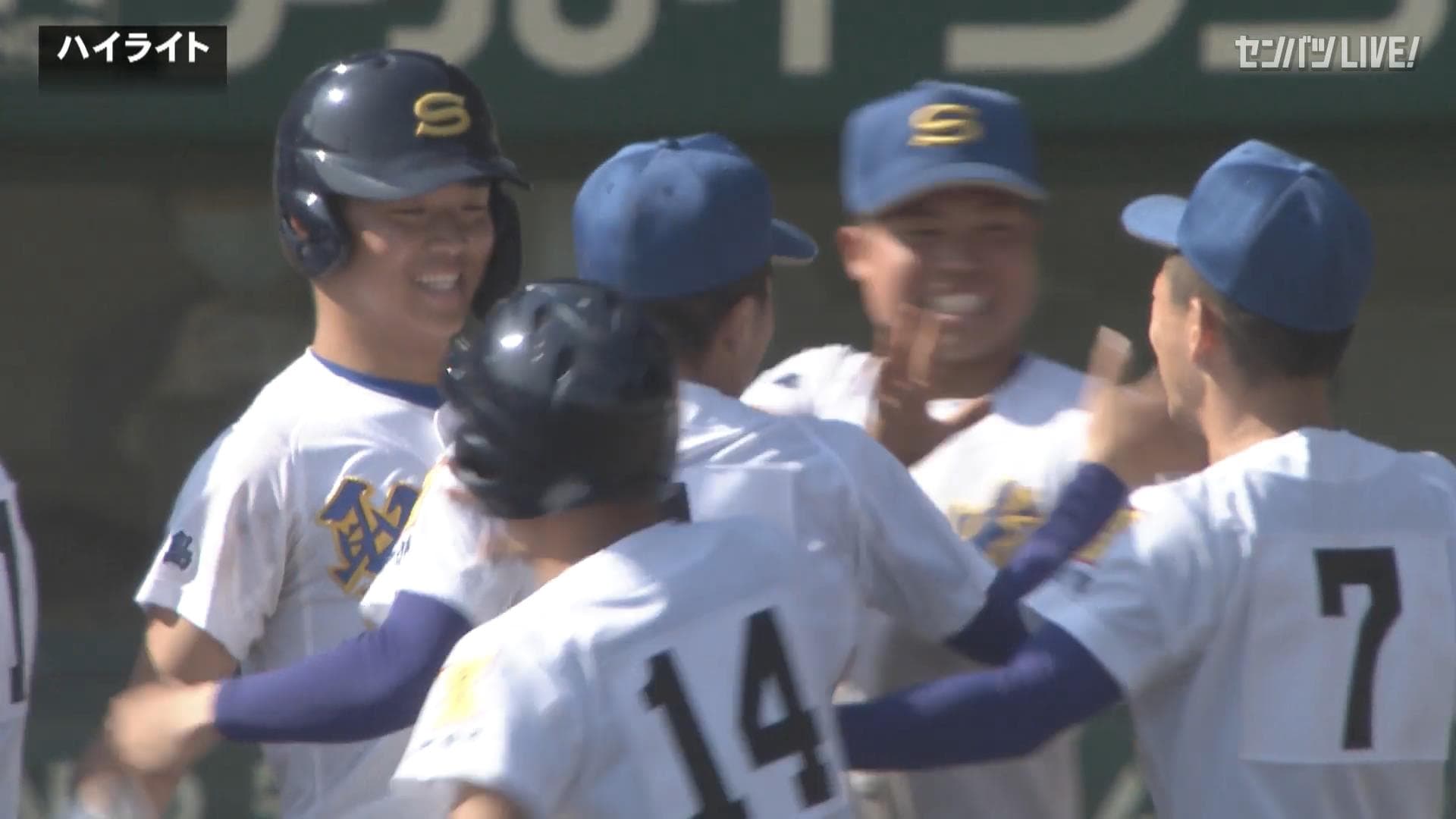 ダイジェスト動画