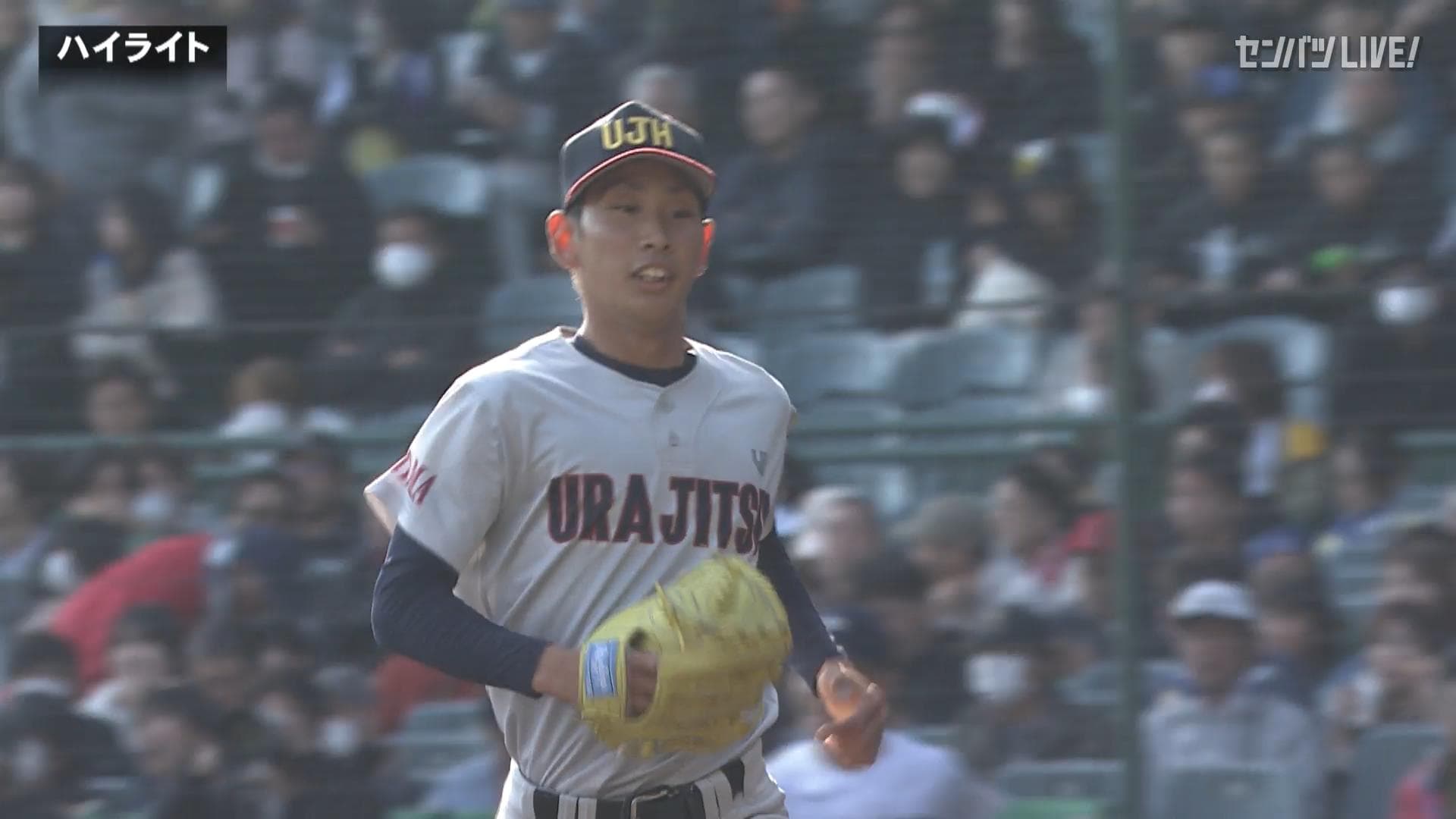 ダイジェスト動画