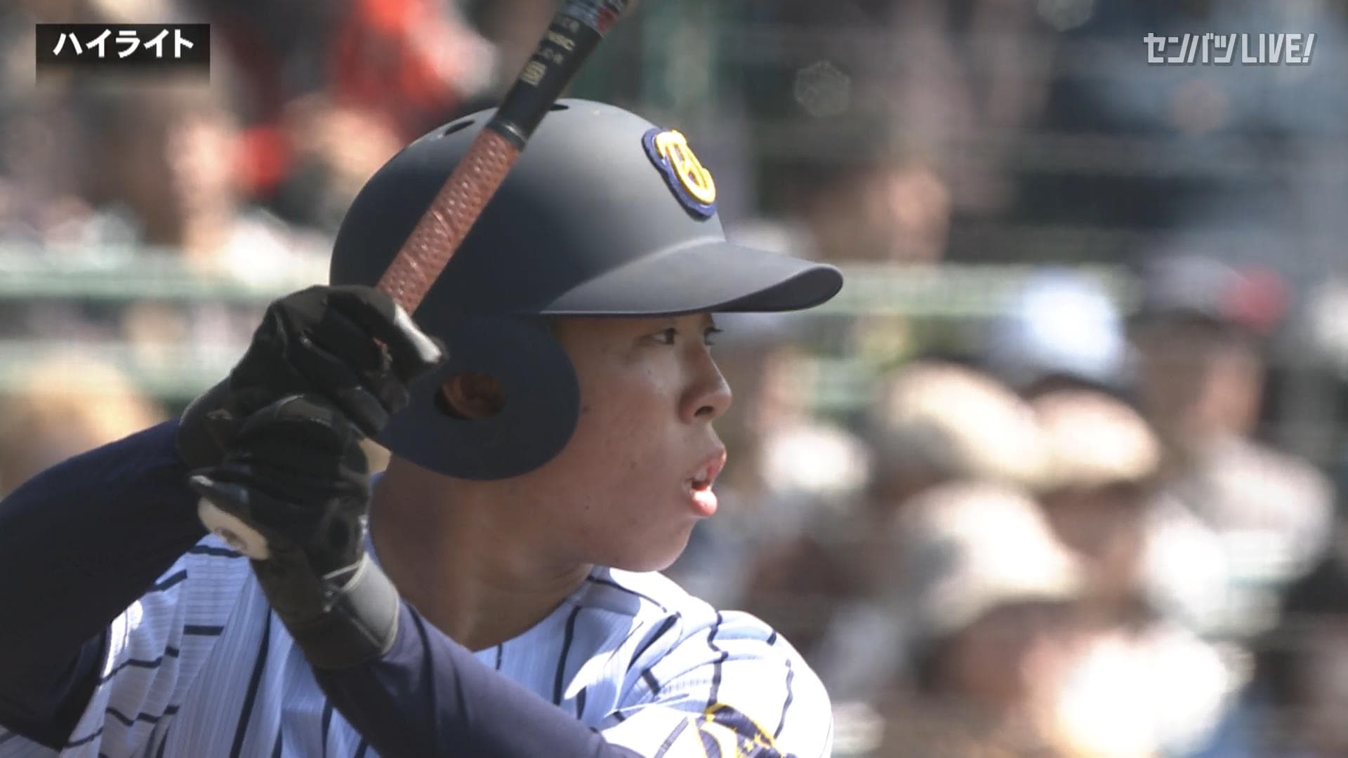 ダイジェスト動画