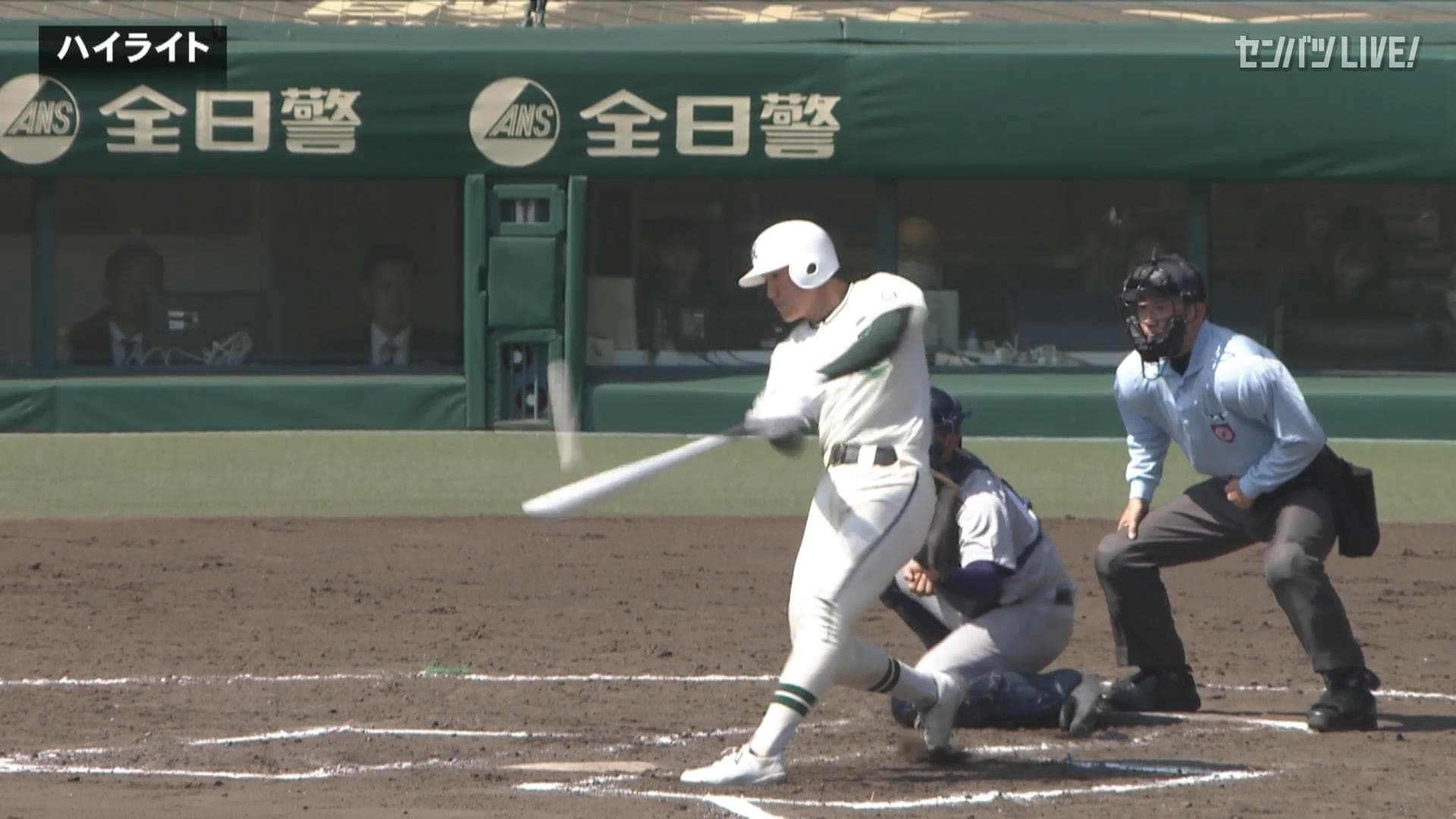 ダイジェスト動画