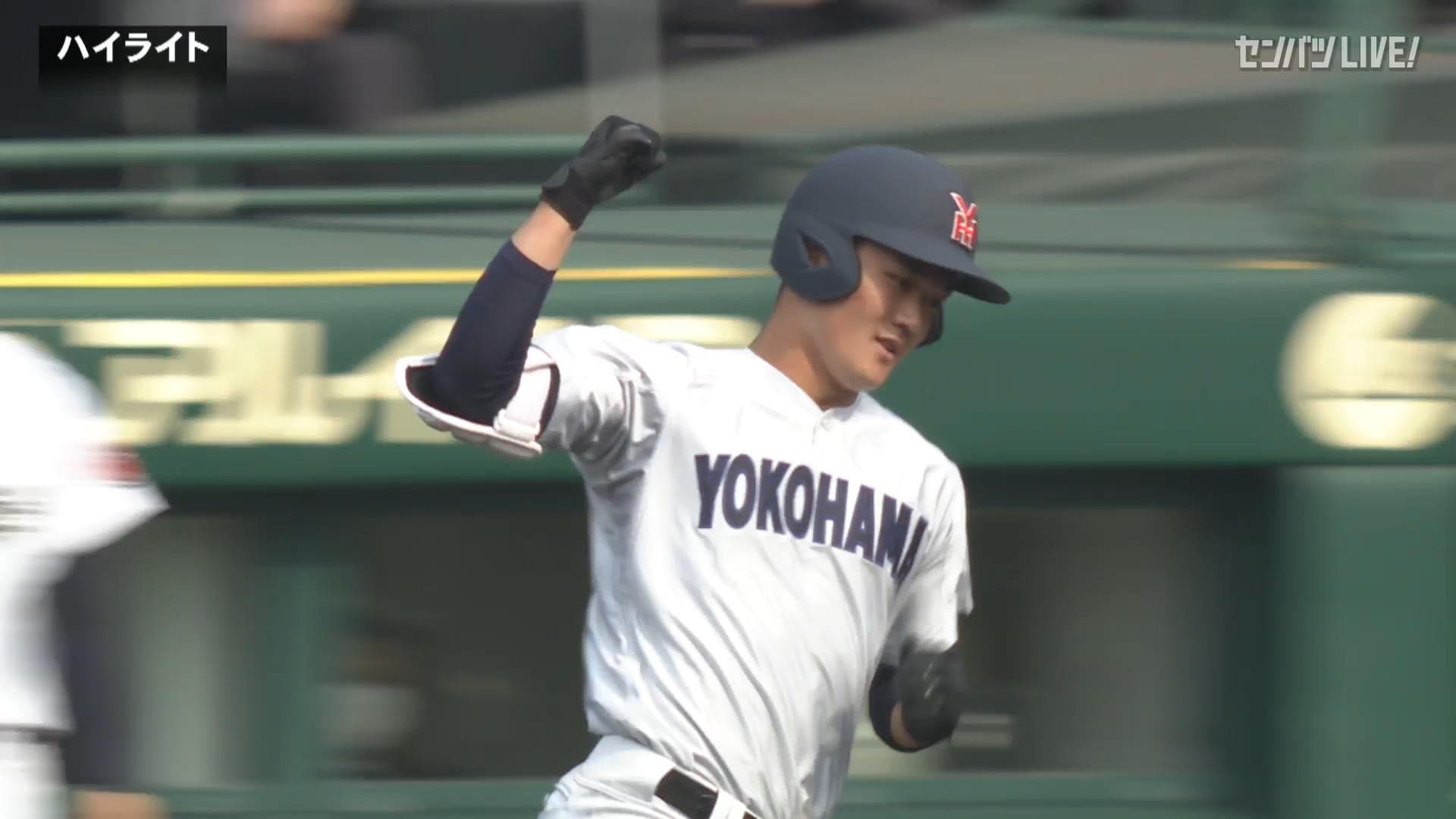 ダイジェスト動画