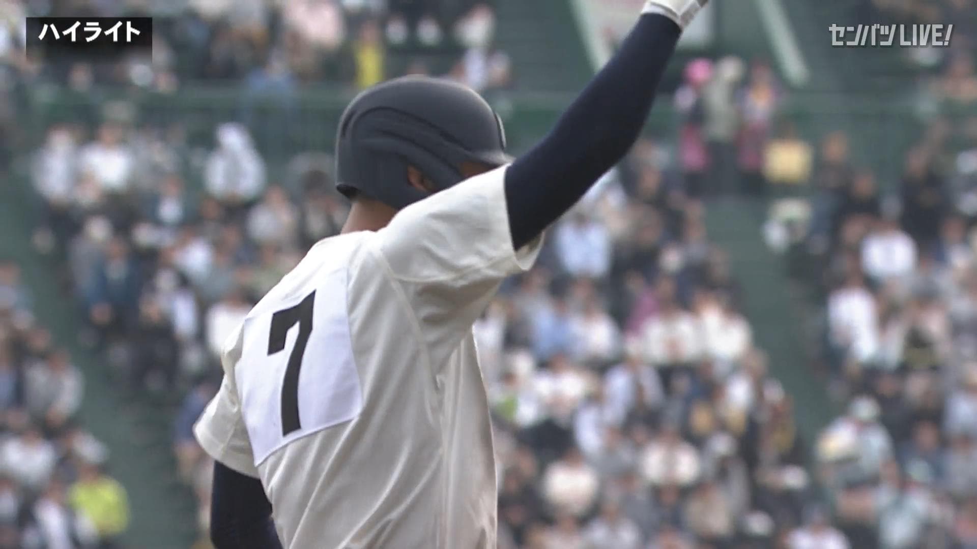 ダイジェスト動画