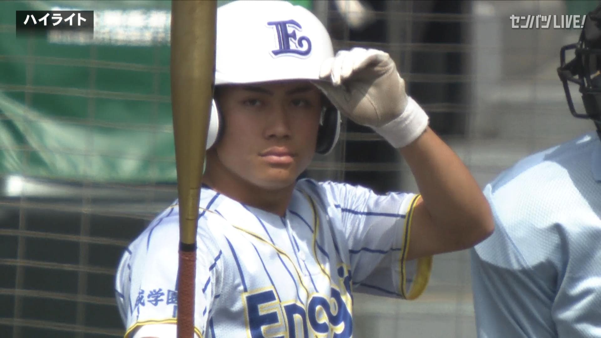 ダイジェスト動画