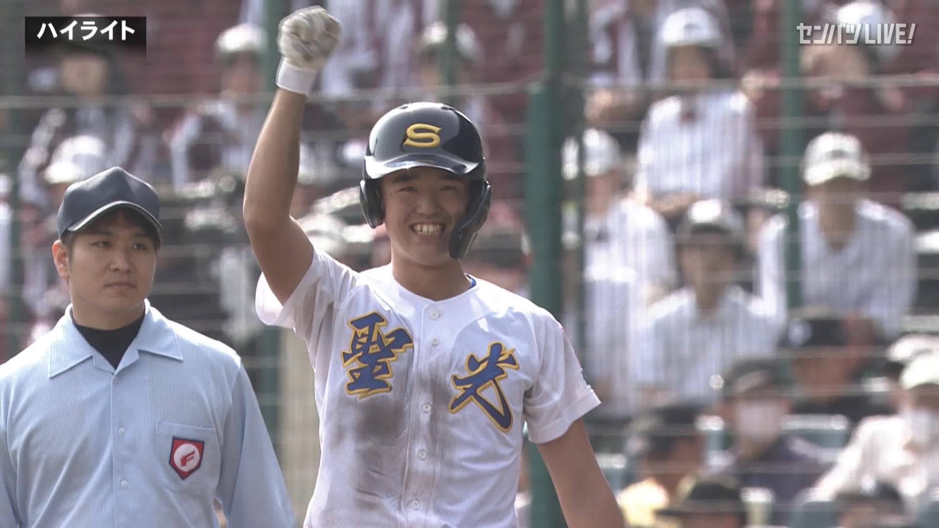 ダイジェスト動画