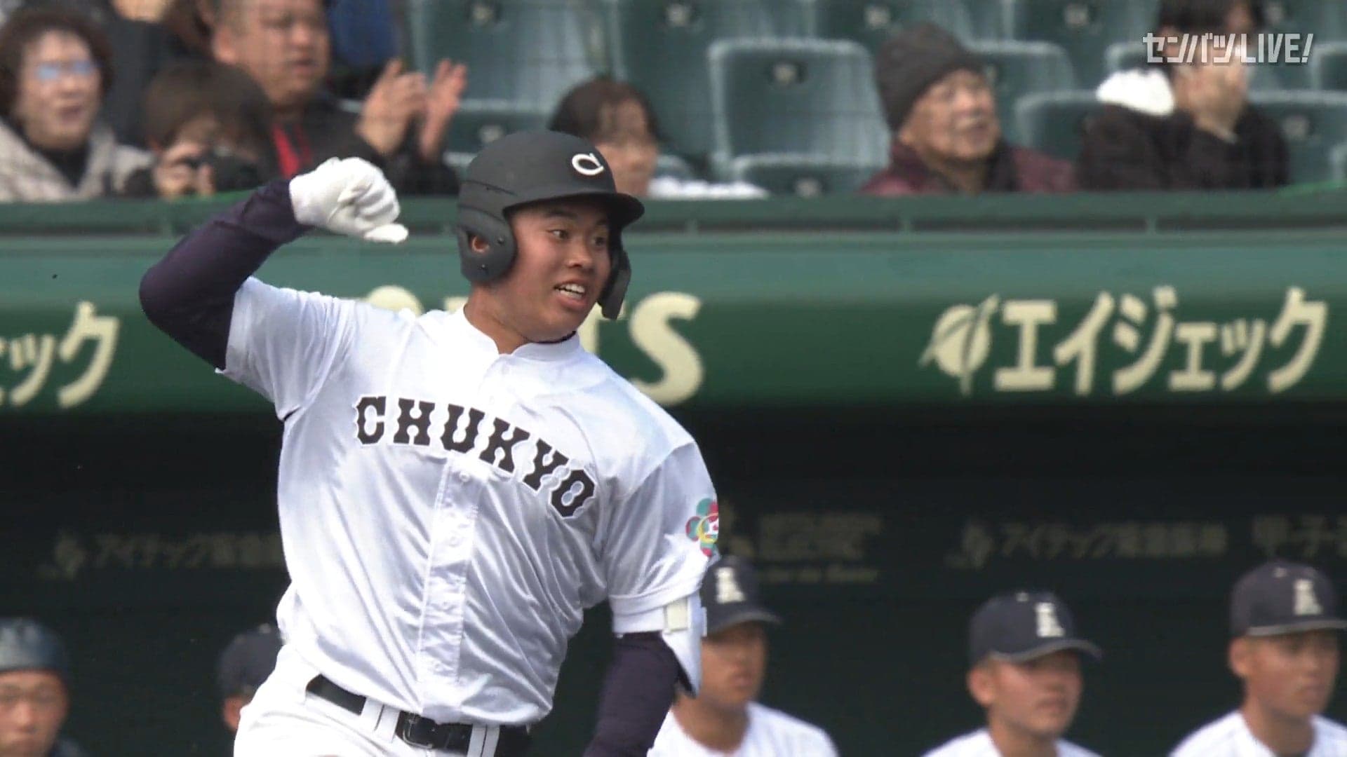 ダイジェスト動画