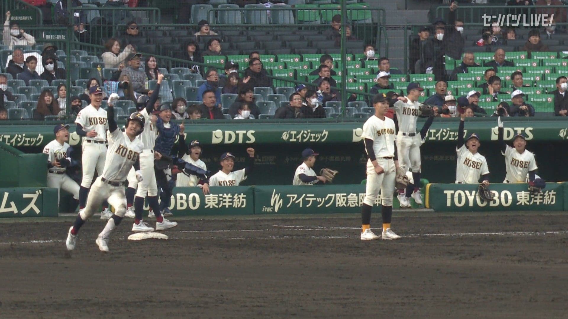 ダイジェスト動画