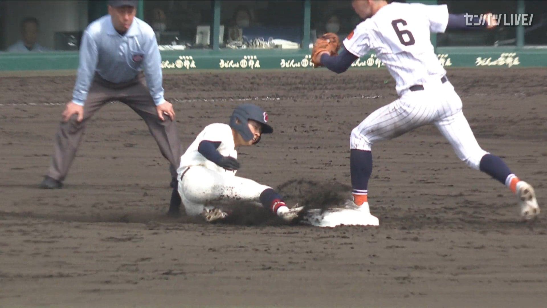 ダイジェスト動画