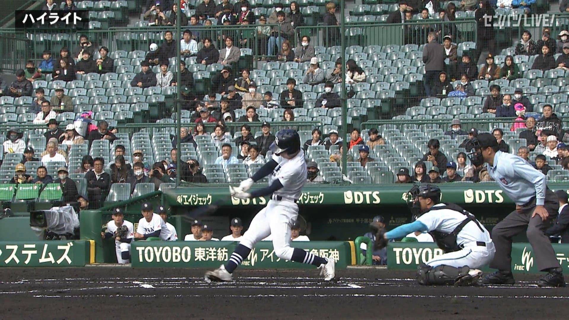 ダイジェスト動画