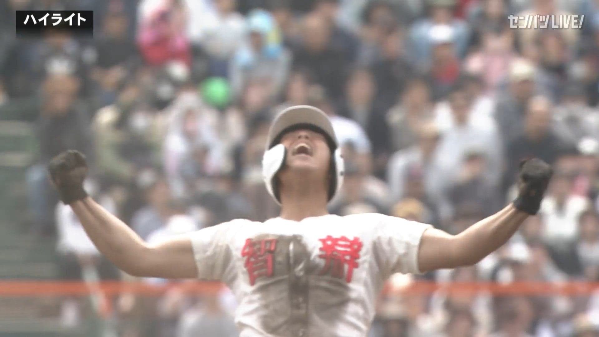 ダイジェスト動画