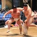 横綱・大の里がメルセデスとアルマーニ店舗前で１４番　大関・琴桜を圧倒できず８勝「危機感をもってやる」